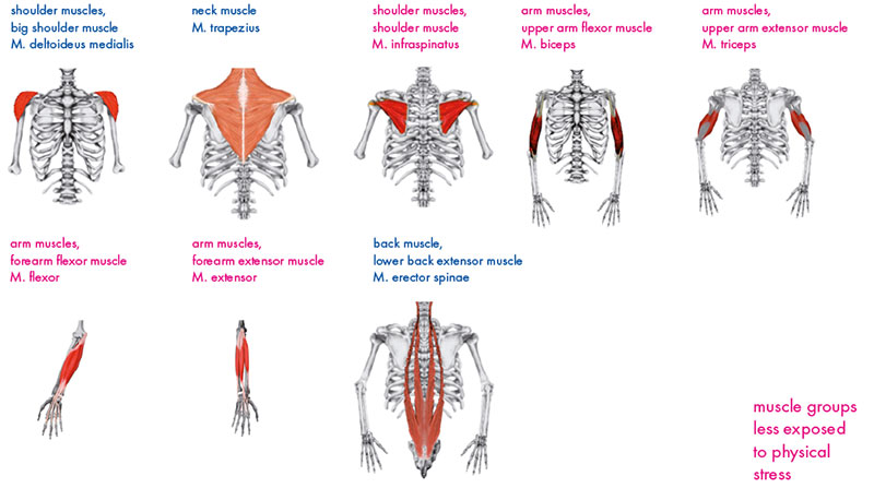 Muscle Groups Affected by Welding